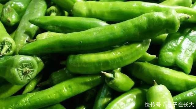 买青椒时,挑弯的还是挑直的种菜农看“这里”就知辣不辣!