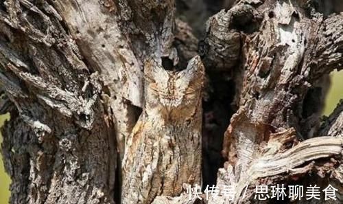 痴呆|权威痴呆测试80分以上的人大脑还很健康，不用担心