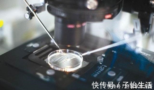 寿命长短|试管婴儿和正常受孕的婴儿,最大区别不是寿命长短,而是这一点!