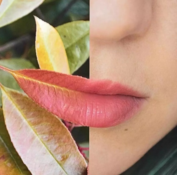 艺术家|这位好“色”的艺术家，拿大自然当画板，引11万人“想入非非”！