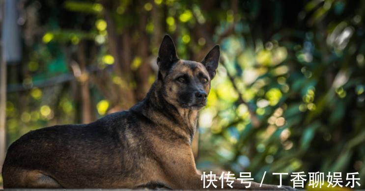 丈夫|凌晨时分,不听丈夫劝阻的我坚持晨跑,然而,却遭遇了意外