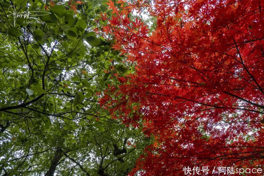 再次|再次邂逅独山古寨，却被它“门”前的风景惊艳到了