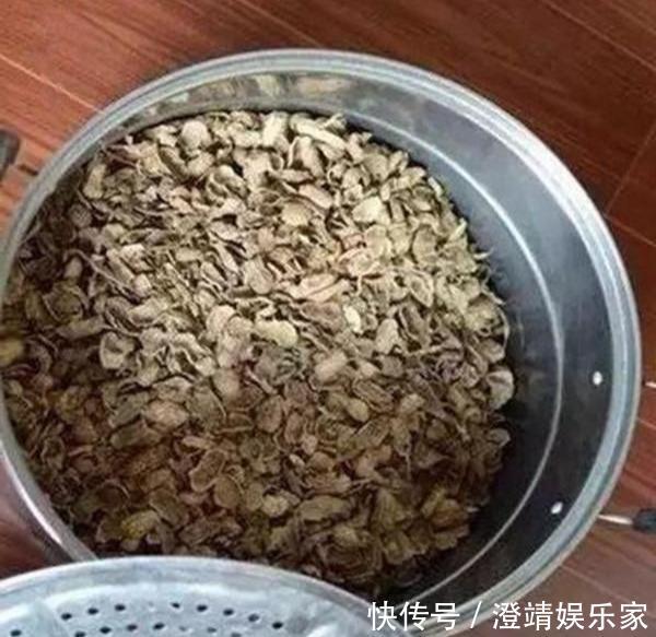 花盆|养兰花不花钱，随便一把花生壳，扔在花盆养分足，不积水不烂根