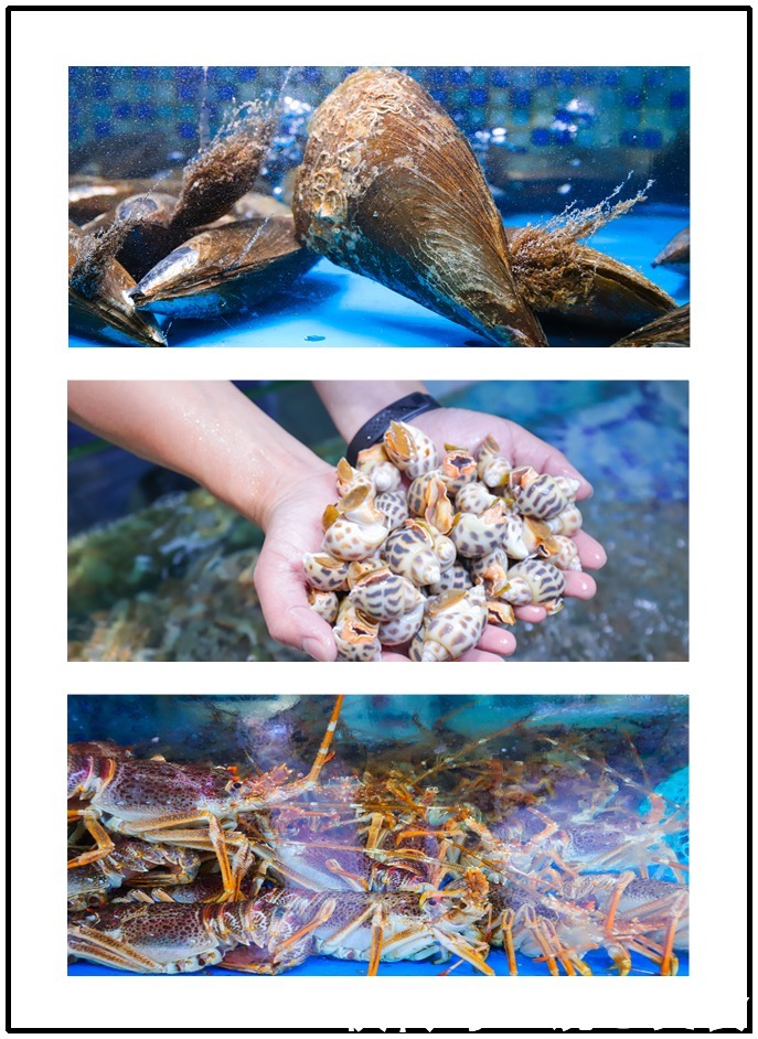 过瘾|秋天的第一顿海鲜,吃得太过瘾