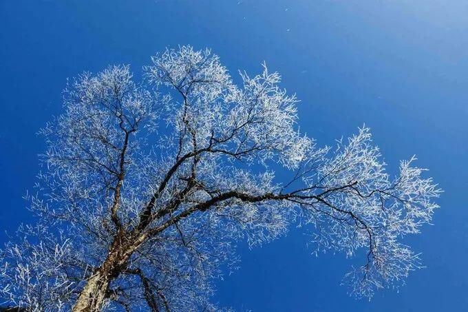 卧龙|成都冬季去哪儿玩？来冰雪秘境甘海子徒步看云海！