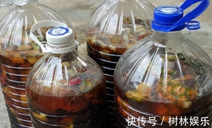 花友|花盆土发硬,加上一碗水,轻松解决,土壤疏松肥力足