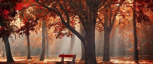 写景$杜牧最精美的写景唐诗,前2句存在争议,最后一句7个字脍炙人口