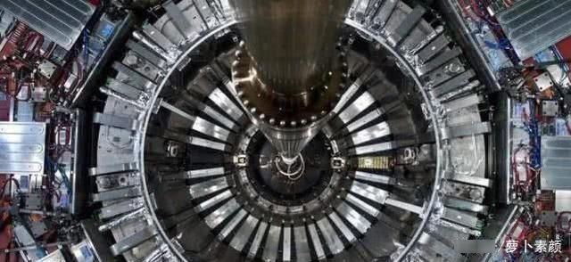 当他把头伸进粒子加速器时，他被高能质子束直接击中