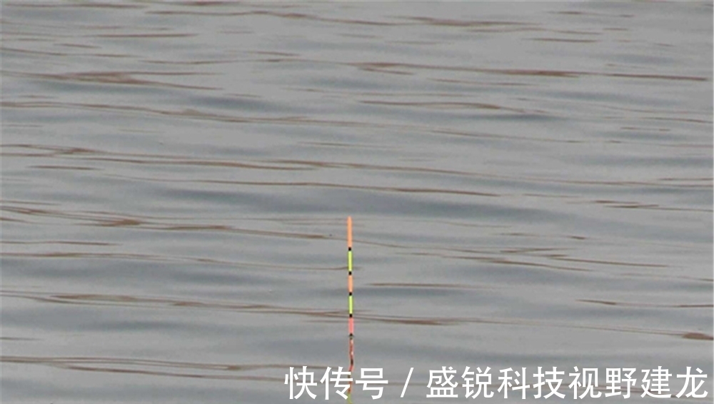 子线|钩、饵重量与调、钓目的关系,不了解这些,是知其然不知其所以然