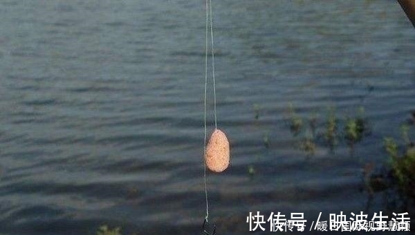 鱼道|夏季手竿钓鲢鳙的诱鱼之道，鲢鳙成群进窝，连竿到手抽筋