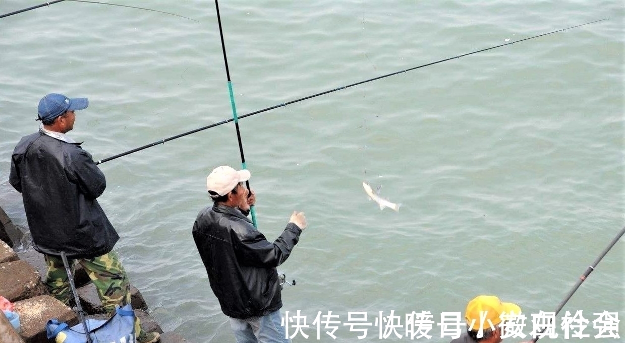 野钓时调四钓二与调平钓二，哪种调漂方法更好？