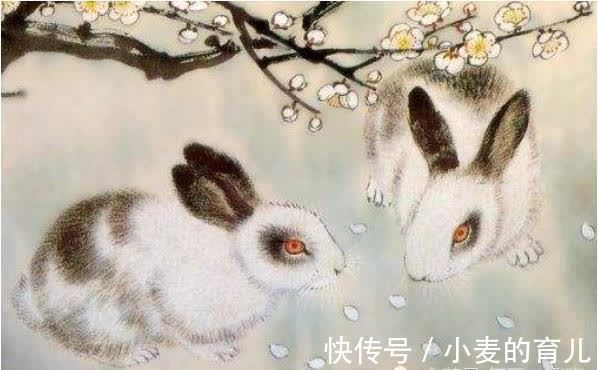 吉顺安祥|属兔人的后半辈子，尤其是63年、75年的，句句说到心坎！