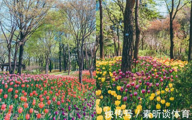 衣品|穿“T恤”太普通？那是你不懂！5类风格搭配拆解，立马提升衣品