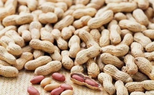 花生|瓜子和花生，一个让你长胖，一个让你减肥，你都吃对了吗？