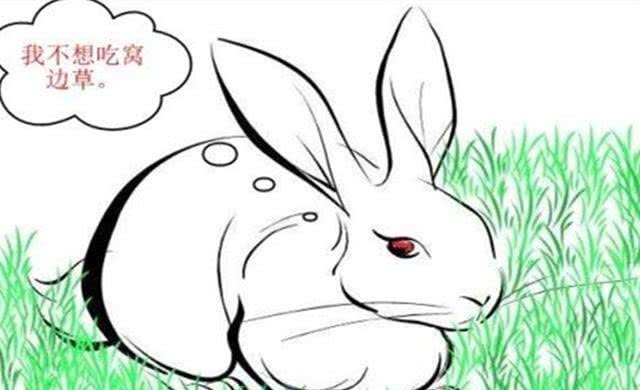 真理|一句被奉为真理的民间俗语,其实还有下文!透露出作者狡猾的本性