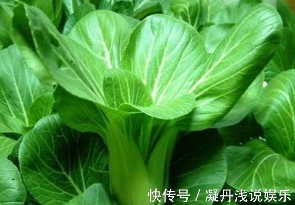 防治|油菜活血化瘀，解毒消肿，农民冬季种植油菜需一点，稳产又增收