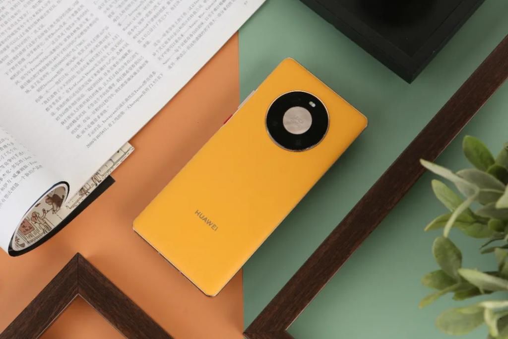 胡杨|华为Mate40 Pro秋日胡杨图赏：平衡又精致的艺术美学