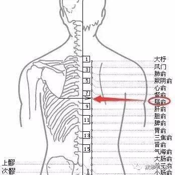  贫血|补血别再高价买阿胶!中医教你巧用身体自带“阿胶穴”,胜吃补药