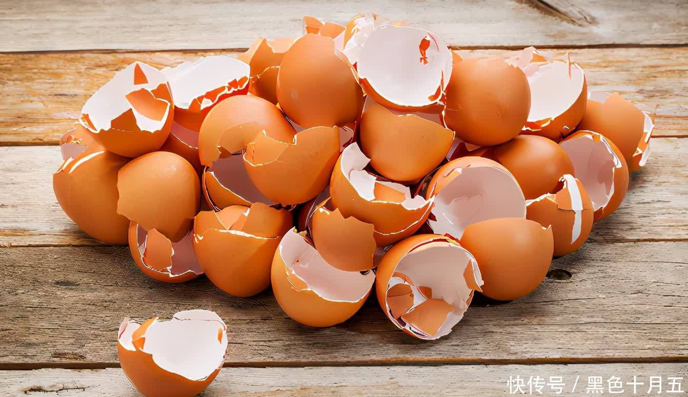 花肥|蛋壳的营养、制肥方法、养花的好处，大家知道多少？