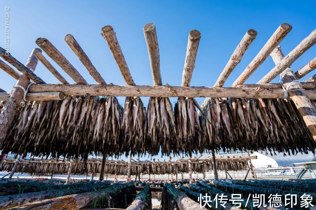 江原道|滑雪、温泉、狂欢节……我要和你交换6个关于冬天的美好回忆