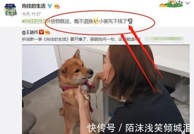 瓢哥|《向往4》录制,王珞丹喊话想退回瓢哥,谁注意到官方回话