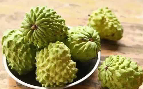 肠胃|对人体很好的食物,秋天多吃,能养护肠胃,增强体质,肌肤更好