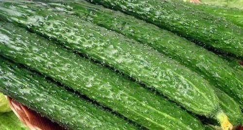 黑色食物|女人爱美,常吃几种食物,润肤美容,延缓衰老,早吃早受益