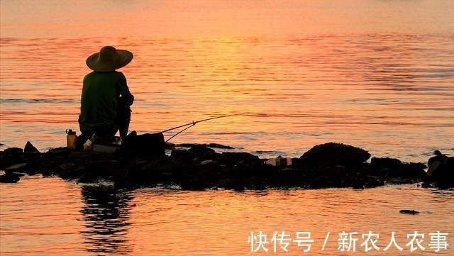 广西邕江边现罕见场景,钓鱼人纷纷打重窝,还带上帐篷和锅碗瓢盆