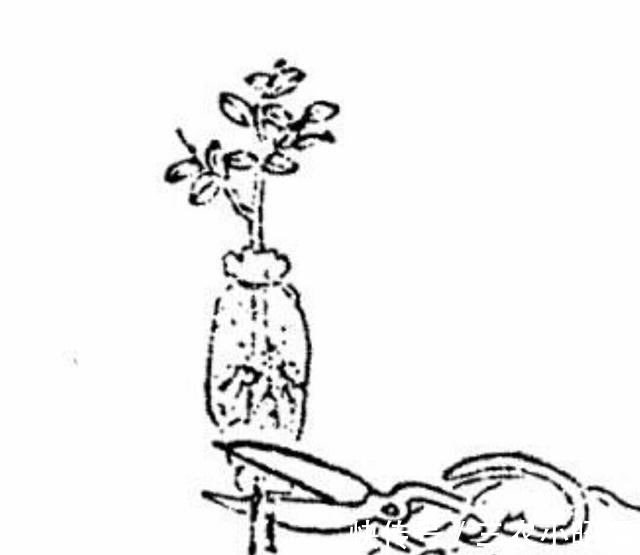 树木|学会树木高压繁殖方法, 自己培育盆景小老桩!