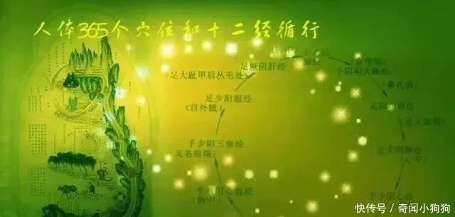 古人是如何发现经络的？