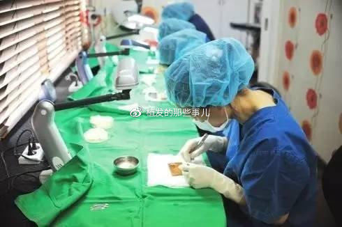 植发原理？带你揭秘植发手术完整流程|植发科普| qt:ghost