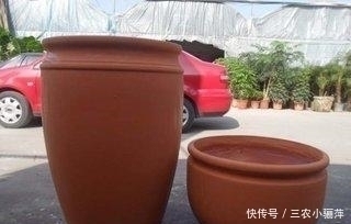 透气性|家中的花盆你选对了吗 每一种花盆都适合养什么, 千万不要乱用