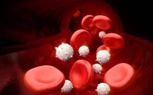 肾脏|经常在家便秘了，不想用开塞露怎么办？3个调理办法通便效果好