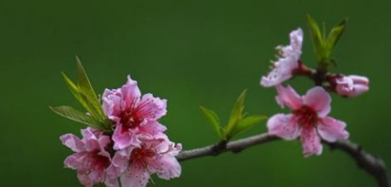 征兆|一个人,苦吃多了,即将转运,才有这三个征兆(很准)