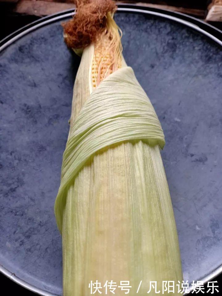 玉米棒子扔盆里,洒点水就发芽了,7天长一把绿苗!