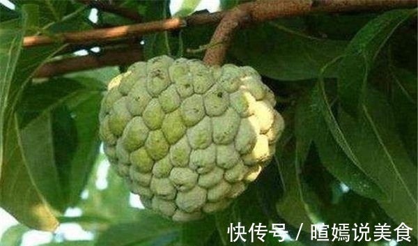 杨桃|女性不想脸生黑斑,不妨常吃3物,消暑降温、排毒消脂,早吃健康