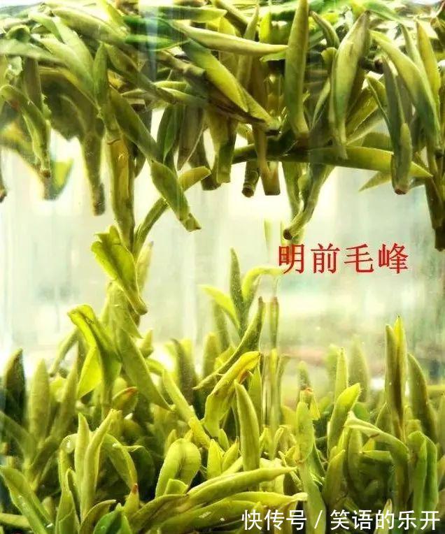 兰友随手浇一浇,兰花烂根不开花,3个坏习惯一定得改