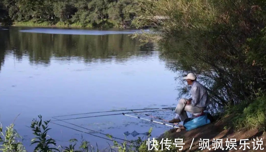 鱼儿们|垂钓时鱼不开口到底是什么原因造成的,看看这些你就知道了