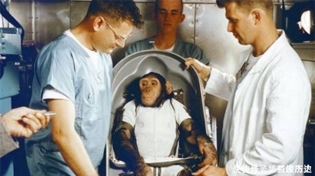 飞船 59年前,被美国送上太空的黑猩猩“宇航员”,最后结局如何?