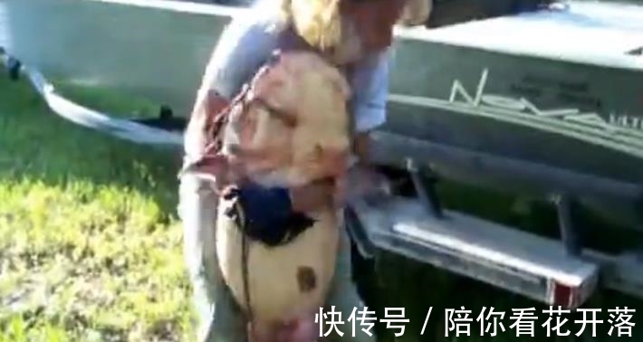 钓鱼|女子湖边徒手钓鱼，钓到一个大家伙，丈夫看后兴奋了