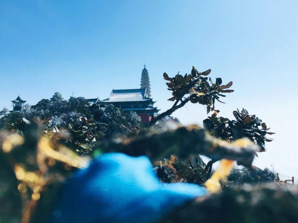情结|云海与雪景、雾凇齐聚,惊艳了鸡足山的冬天!