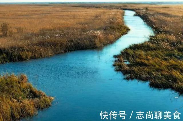 鸟类|中国最美六大沼泽湿地，养在深闺无人识，去过的都惊叹不已