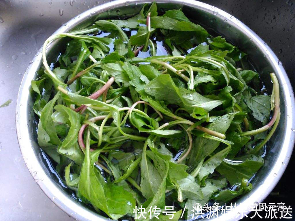 马兰头|女性常吃此菜,每天来一盘,皮肤白皙细腻,子宫越来越健康