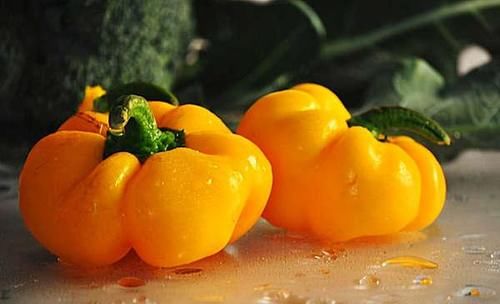 对身体很好的3种食物，常吃一些，排毒抗衰，疏通血管，好处多多