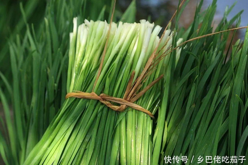 好韭菜怎么挑?宽叶还是窄叶,韭菜盒子用哪种好?