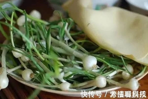 药材|农村“似蒜非蒜”的野菜,实质上为名贵药材,不要傻傻的拿来吃了