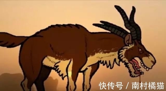 四角羊#四角羊,《山海经》中的四角异兽,现实中却真的存在,而且还不少