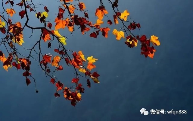 孤独@宋代最孤独的词,其中一句写尽世间最深的孤独,惊艳了世人1000年