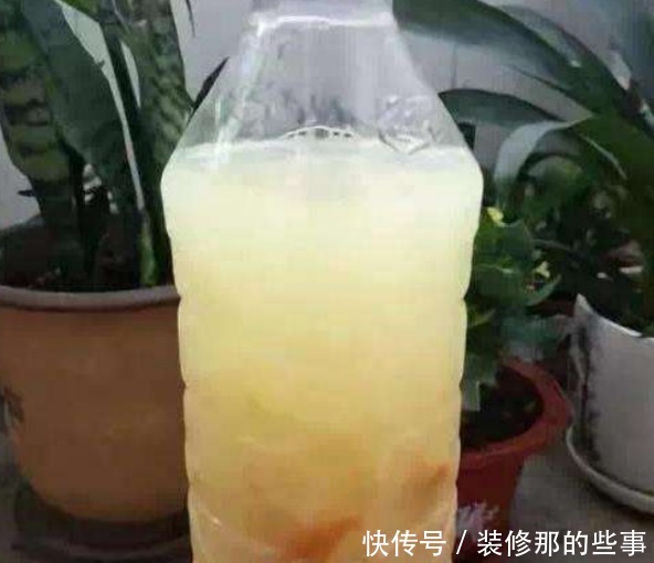 夏日养花,用得上这2样水肥,春天要早做准备才能跟得上需求