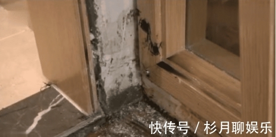 女子|一天长半米!女子花80万买“蘑菇房”,得知原因女子悔不当初